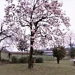 Casale Cadeloro Апартаменты *