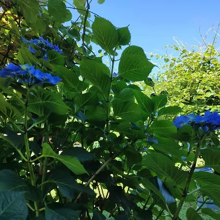 Casale Cadeloro Apartment Nebbiuno