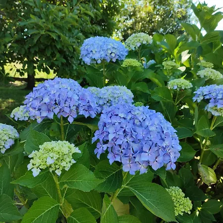 아파트 Casale Cadeloro *