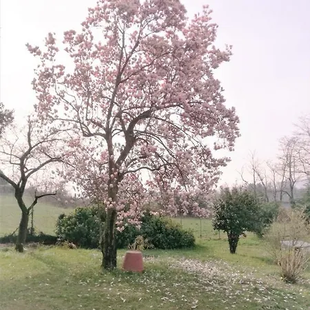 Apartment Casale Cadeloro Nebbiuno