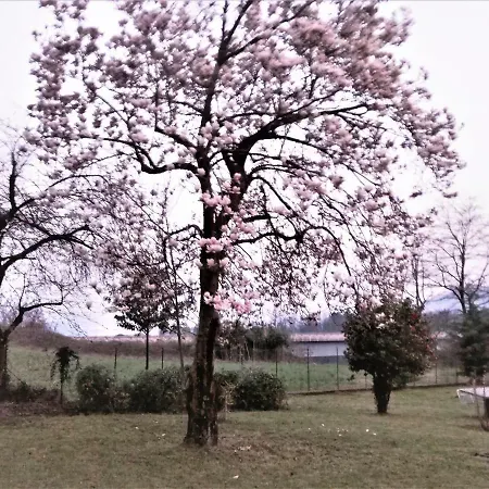 Casale Cadeloro 아파트 *