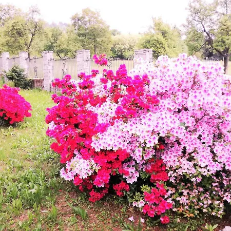 Casale Cadeloro Apartment *