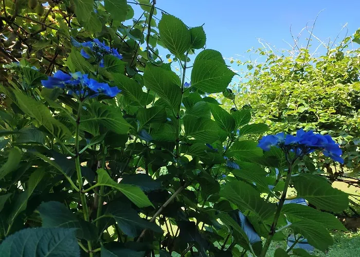 Casale Cadeloro 아파트 Nebbiuno