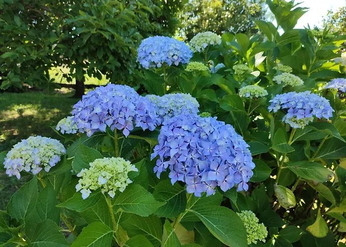 아파트 Casale Cadeloro *