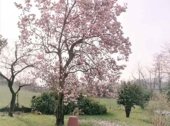 Lejlighed Casale Cadeloro Nebbiuno