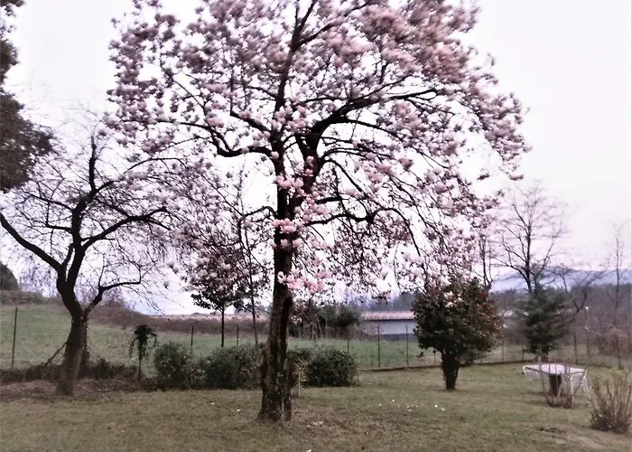 Casale Cadeloro 아파트 *