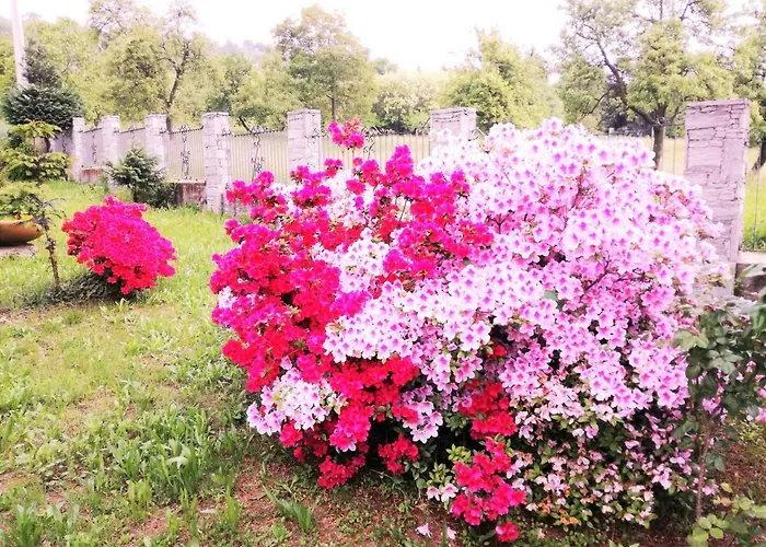 Casale Cadeloro Apartmán *